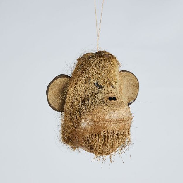 Image de Tête de Singe COCO